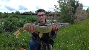 Northern Pike