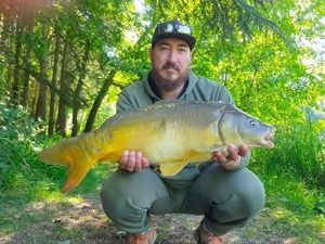 Mirror Carp