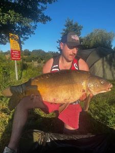 Mirror Carp