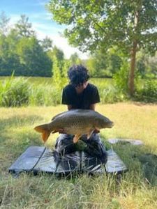 Common Carp