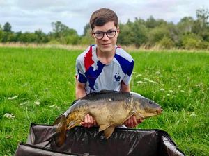 Mirror Carp