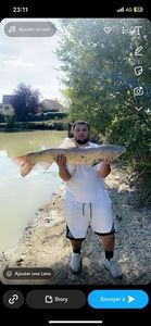 Grass Carp