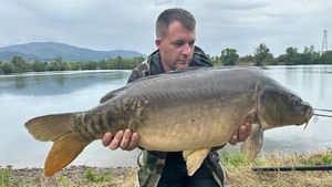 Mirror Carp
