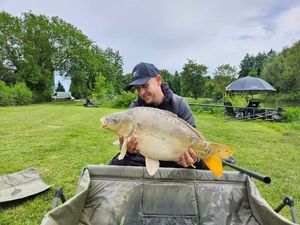 Mirror Carp