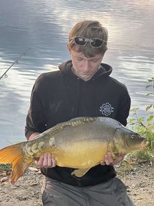 Mirror Carp