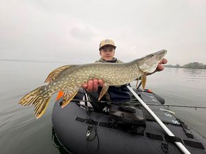 Northern Pike