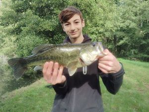Largemouth Bass