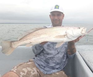 Cassava Croaker