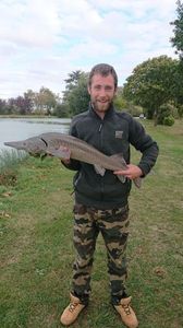 Sturgeon