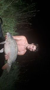 Leather Carp