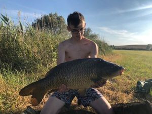 Common Carp