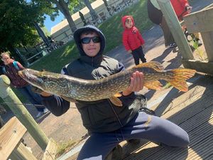 Northern Pike