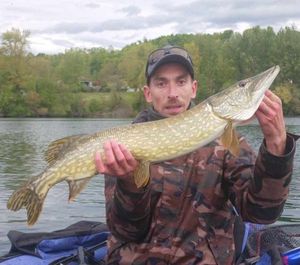 Northern Pike