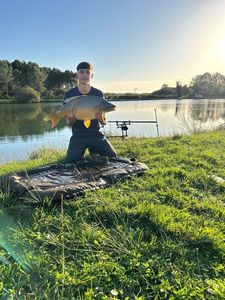 Mirror Carp