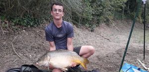 Mirror Carp