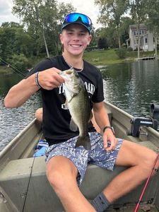 Largemouth Bass