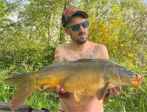 Mirror Carp