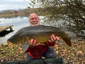 Mirror Carp