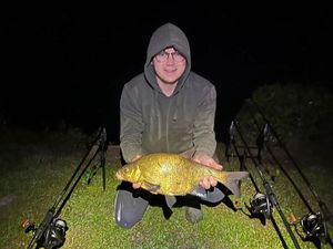 Common Bream