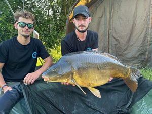 Mirror Carp