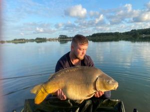 Mirror Carp