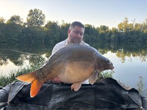 Mirror Carp