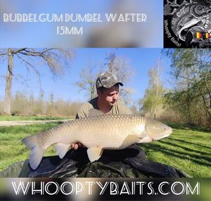 Grass Carp