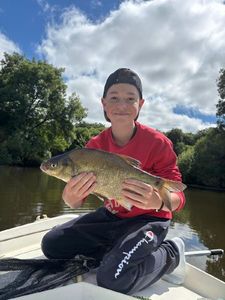 Common Bream