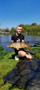 Common Carp