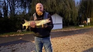 Northern Pike