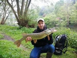 Northern Pike