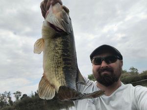Largemouth Bass