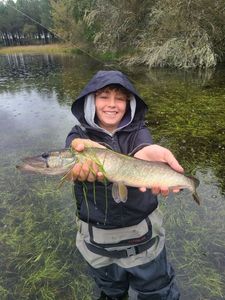 Brochet Aquitain