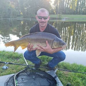 Mirror Carp