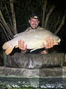 Mirror Carp
