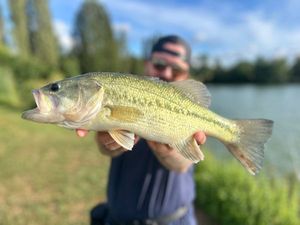 Smallmouth Bass