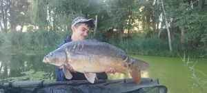 Mirror Carp