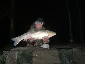 Silver Carp