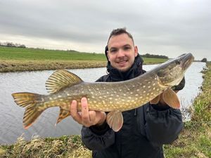 Northern Pike