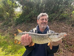 Northern Pike