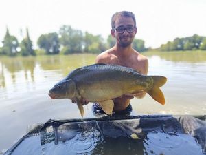 Mirror Carp