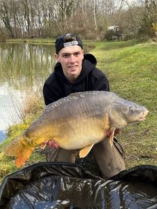 Mirror Carp