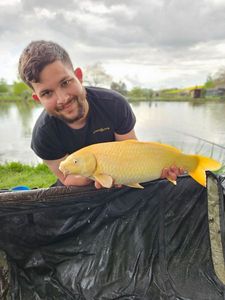 Koï Fish