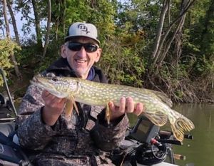 Northern Pike