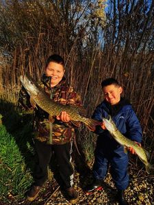 Northern Pike