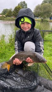 Common Carp