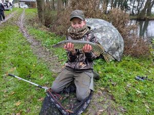 Northern Pike