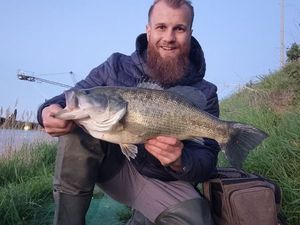 Largemouth Bass