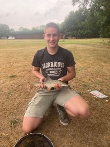 Barbel