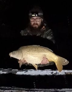 Common Carp